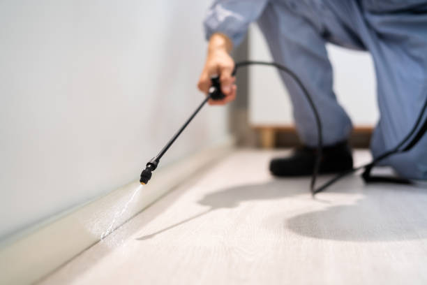 Licensed Cockroach Control service in Eldorado, IL - Nex Pest Control