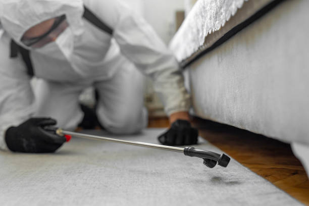 Professional Cockroach Control technician working in Eldorado, IL