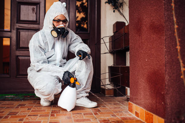 Reliable Cockroach Control contractor in Eldorado, IL by Nex Pest Control