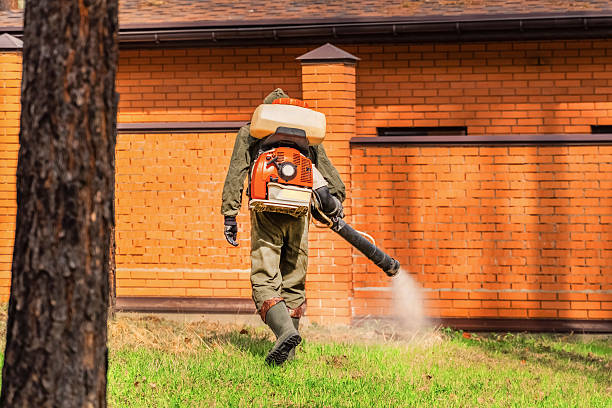 Top rated local Cockroach Control specialists in Eldorado, IL